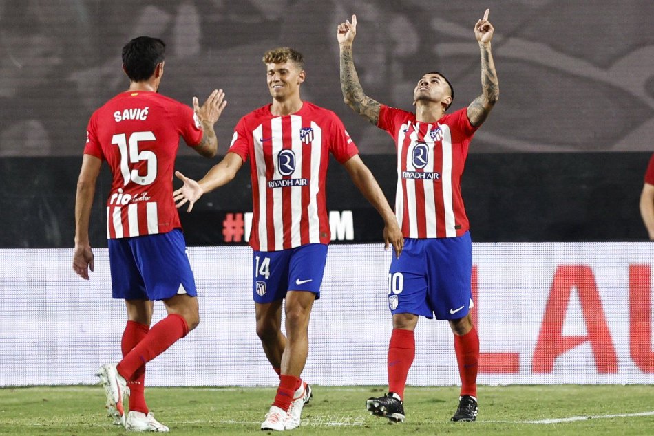 化与内容分 化与内容分